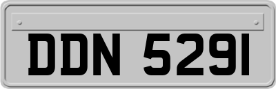 DDN5291