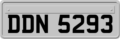 DDN5293