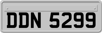 DDN5299