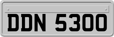 DDN5300