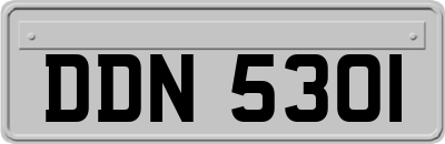 DDN5301