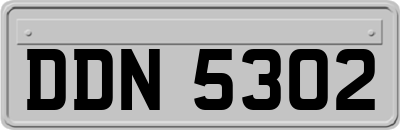 DDN5302