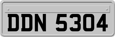 DDN5304