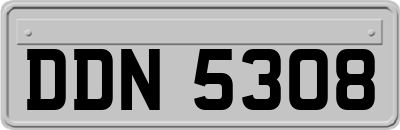 DDN5308