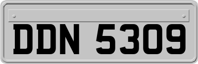 DDN5309