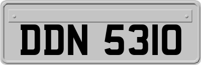 DDN5310