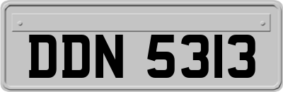 DDN5313