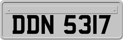 DDN5317