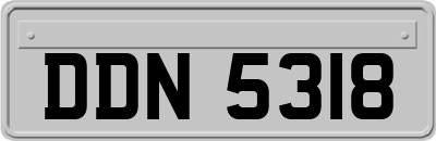 DDN5318