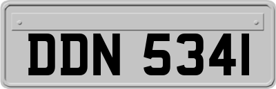DDN5341