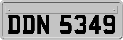 DDN5349