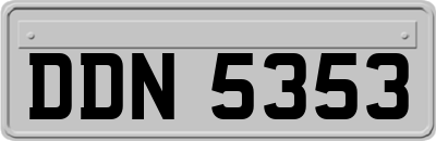 DDN5353