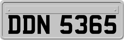 DDN5365