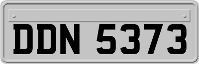 DDN5373