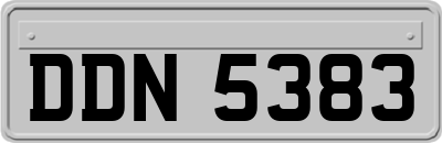 DDN5383