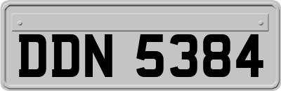 DDN5384