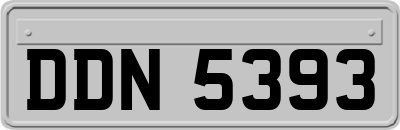 DDN5393