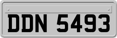 DDN5493