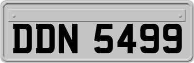 DDN5499