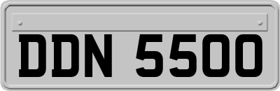 DDN5500