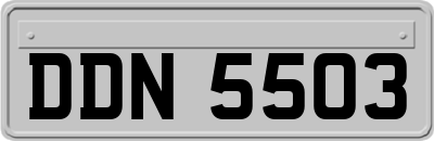 DDN5503
