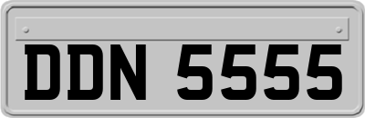 DDN5555