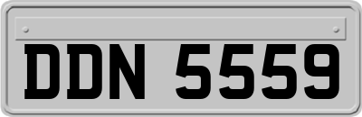 DDN5559