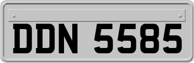 DDN5585