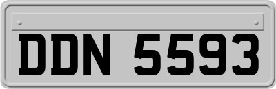 DDN5593