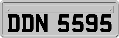 DDN5595