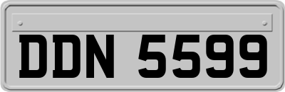 DDN5599
