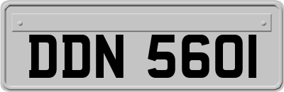 DDN5601