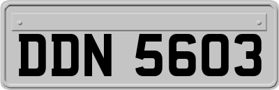 DDN5603