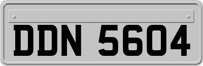 DDN5604