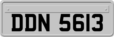 DDN5613