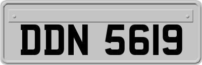 DDN5619
