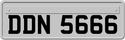 DDN5666