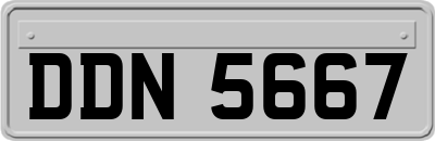 DDN5667