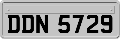 DDN5729
