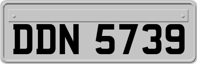 DDN5739