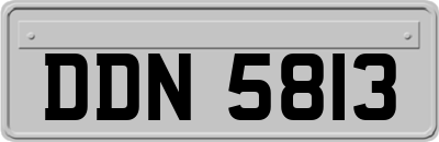 DDN5813