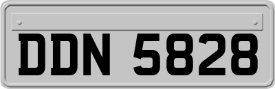 DDN5828