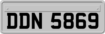 DDN5869