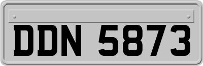 DDN5873