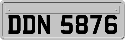 DDN5876