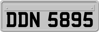 DDN5895