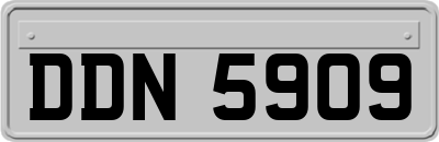 DDN5909