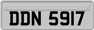 DDN5917