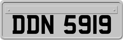 DDN5919