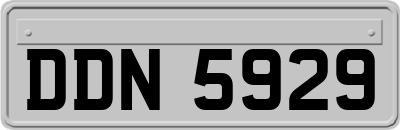 DDN5929